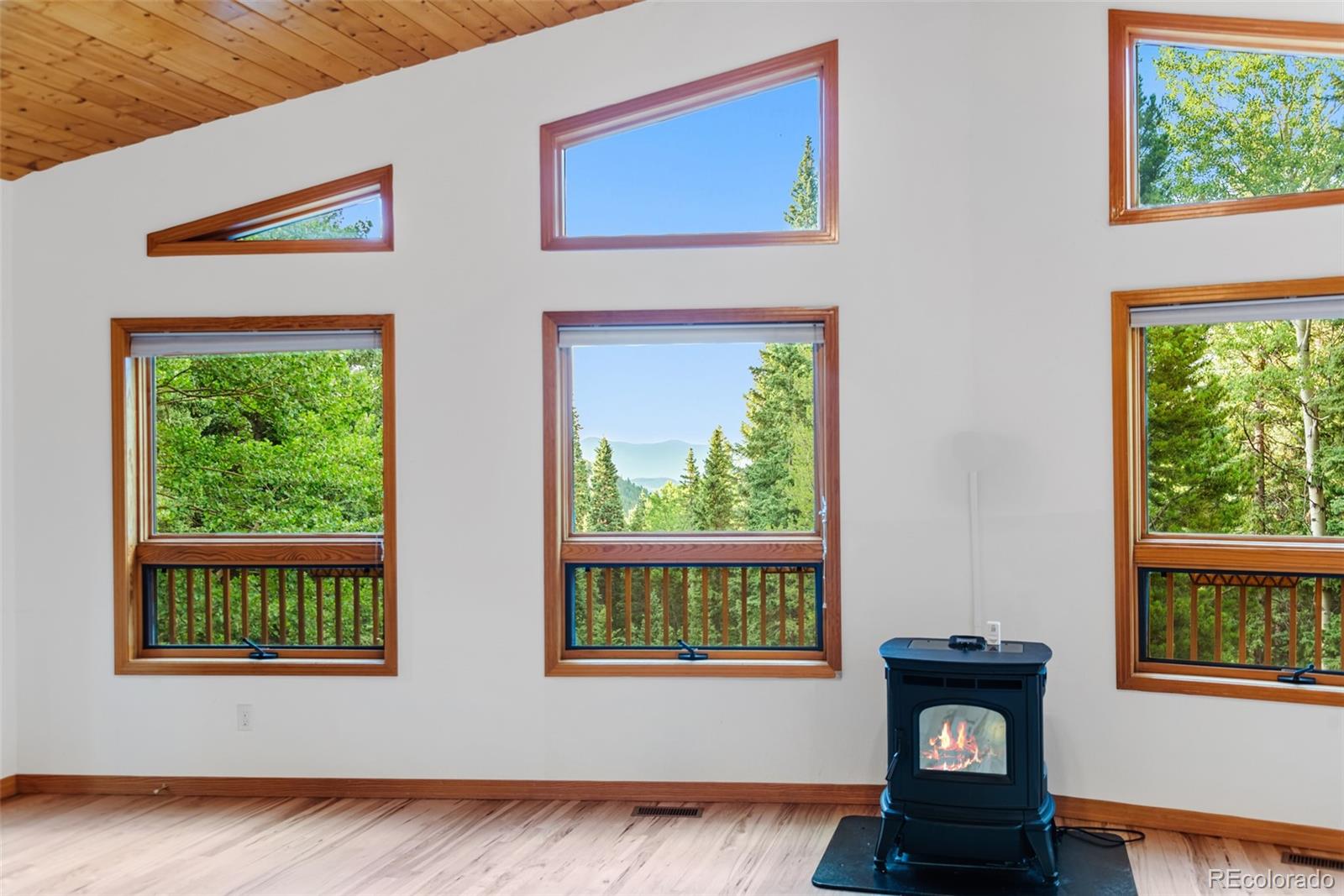 MLS Image #23 for 32123  christopher lane,conifer, Colorado