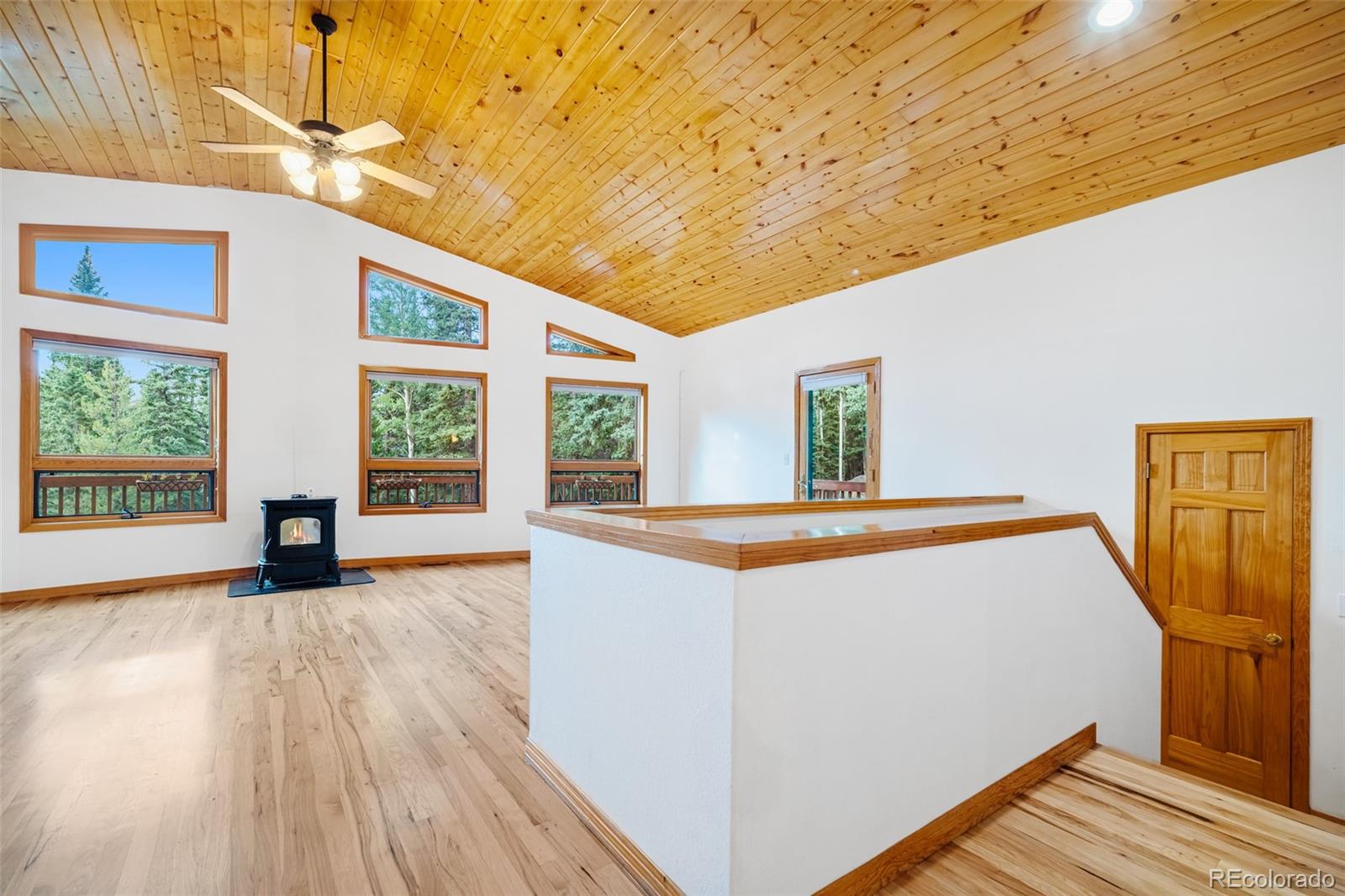 MLS Image #25 for 32123  christopher lane,conifer, Colorado