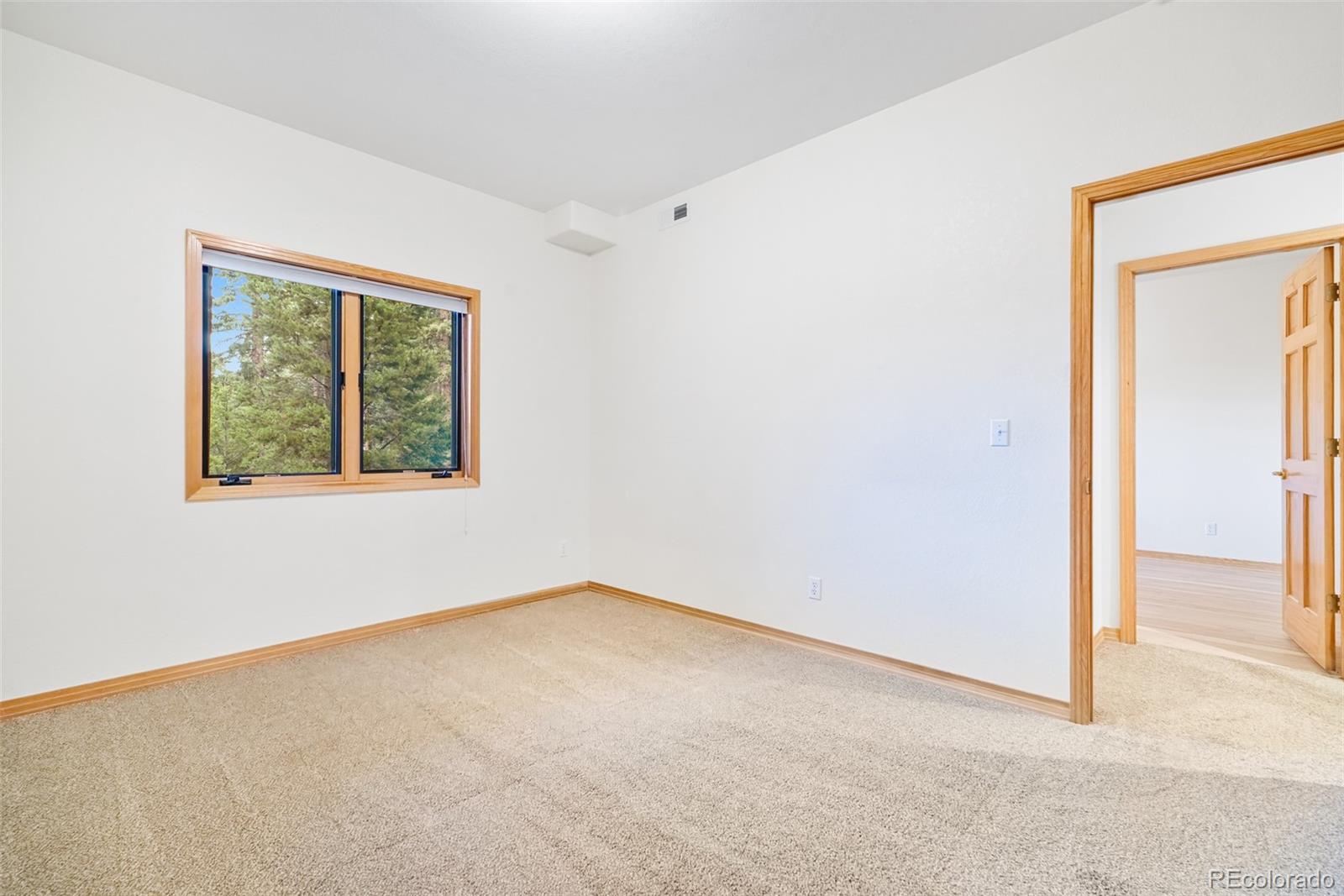 MLS Image #41 for 32123  christopher lane,conifer, Colorado