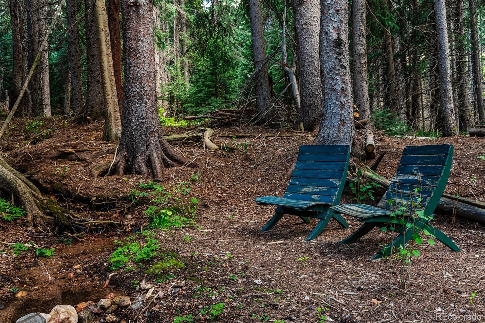 MLS Image #6 for 32123  christopher lane,conifer, Colorado