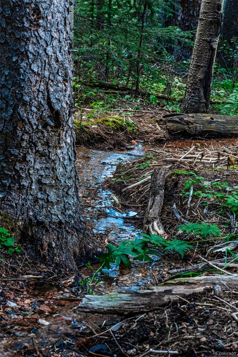 MLS Image #7 for 32123  christopher lane,conifer, Colorado