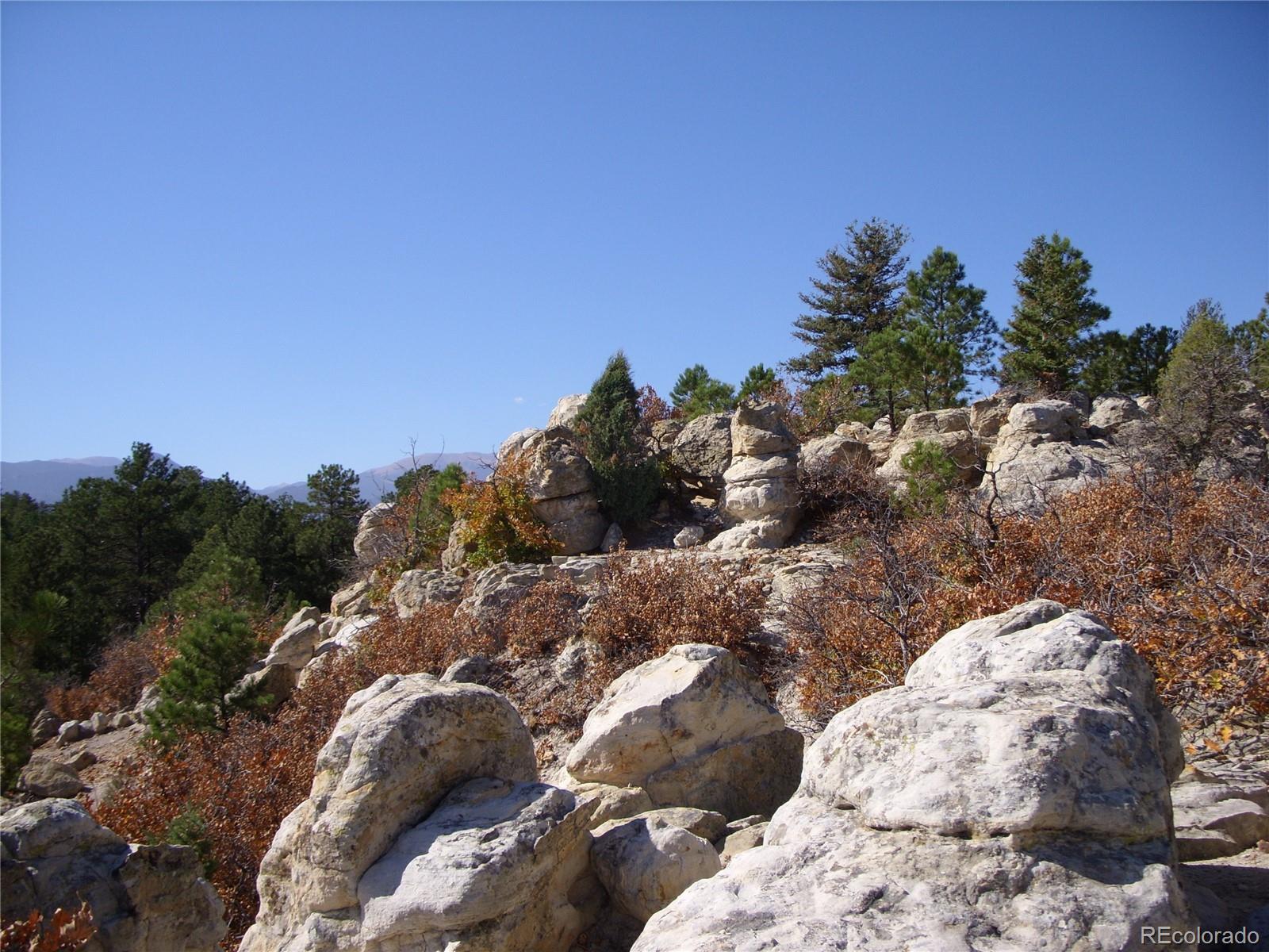 MLS Image #26 for 87  saddlemountain road,colorado springs, Colorado