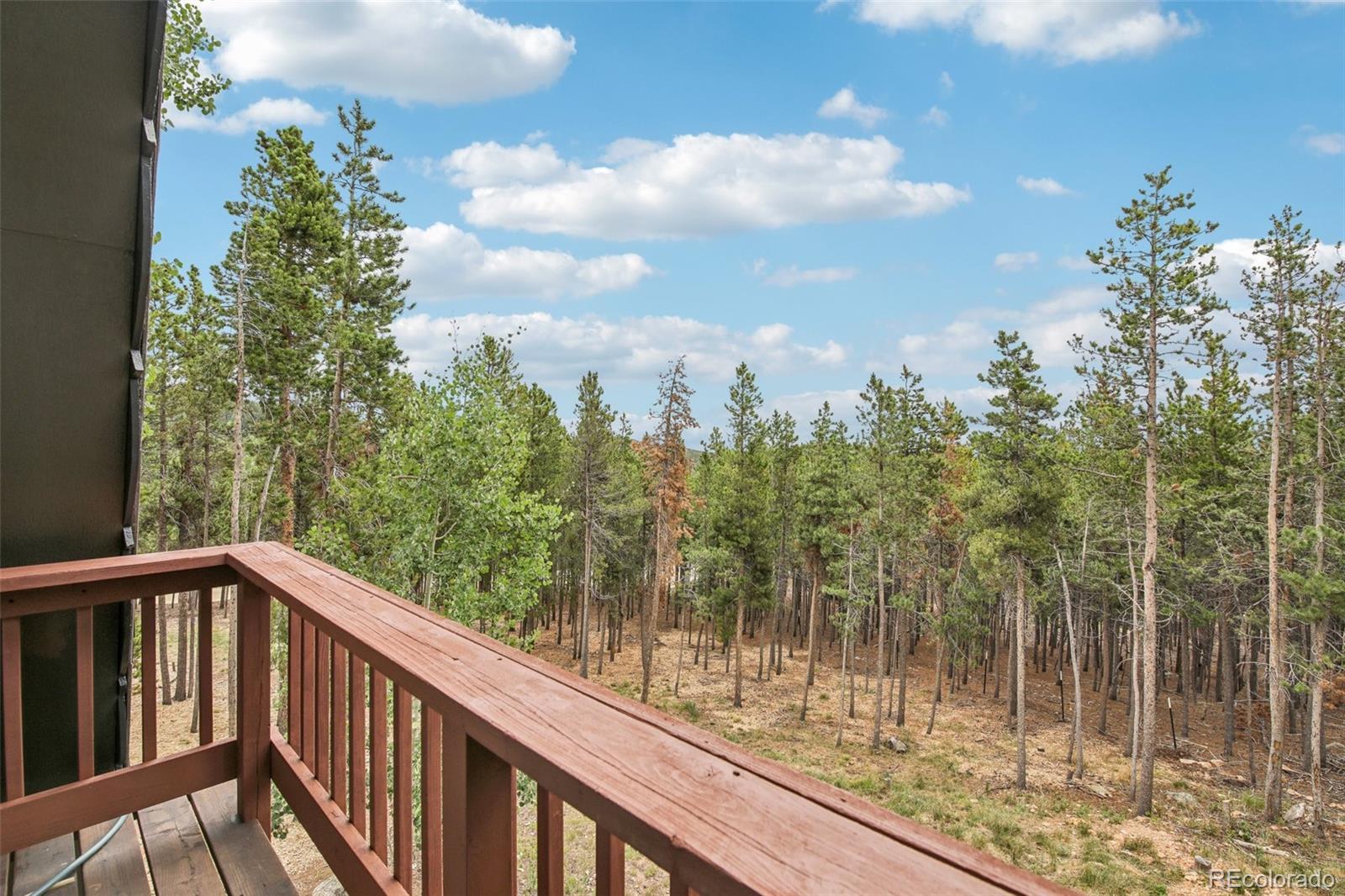 MLS Image #16 for 130  deer road,evergreen, Colorado