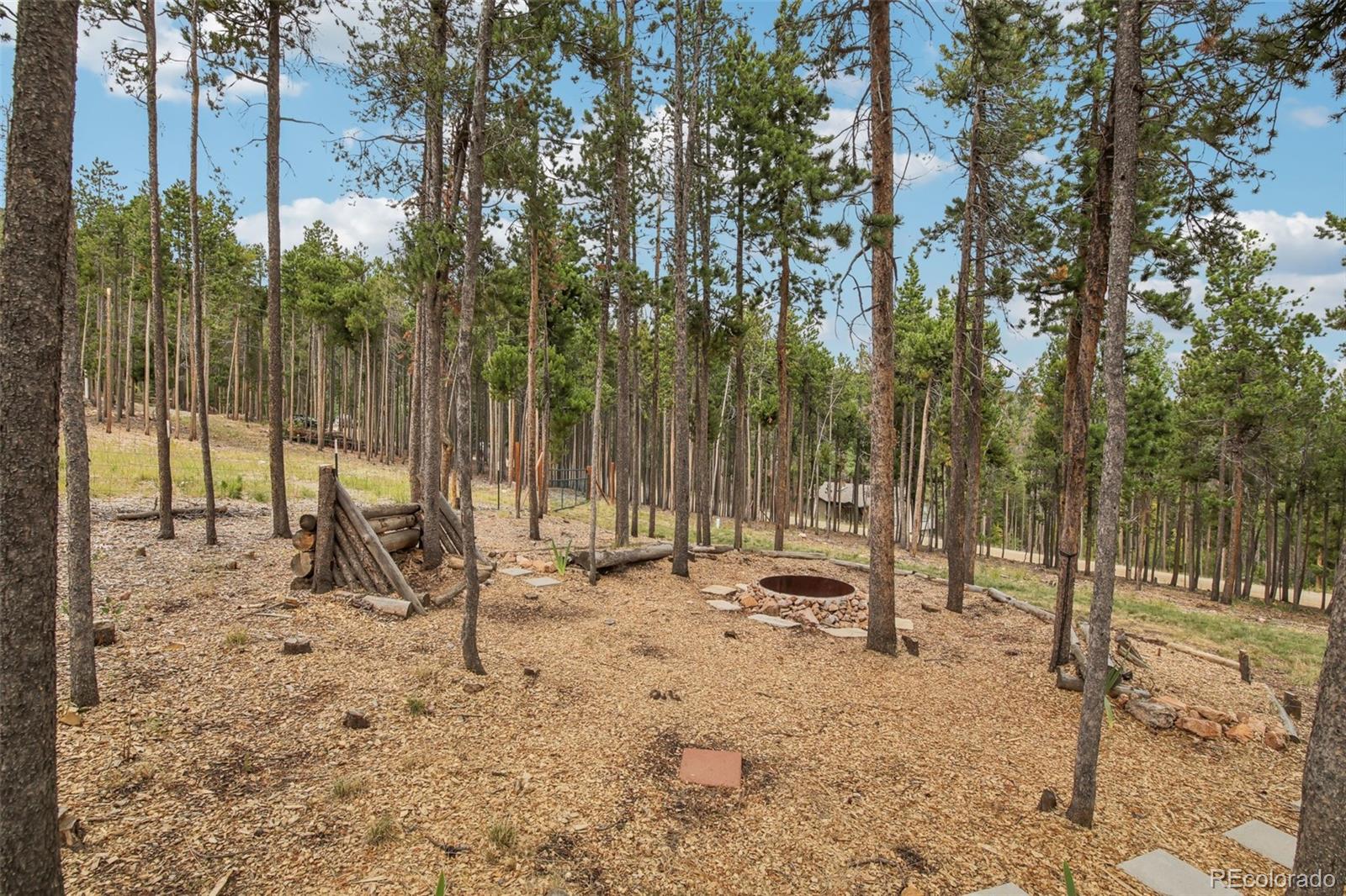 MLS Image #19 for 130  deer road,evergreen, Colorado