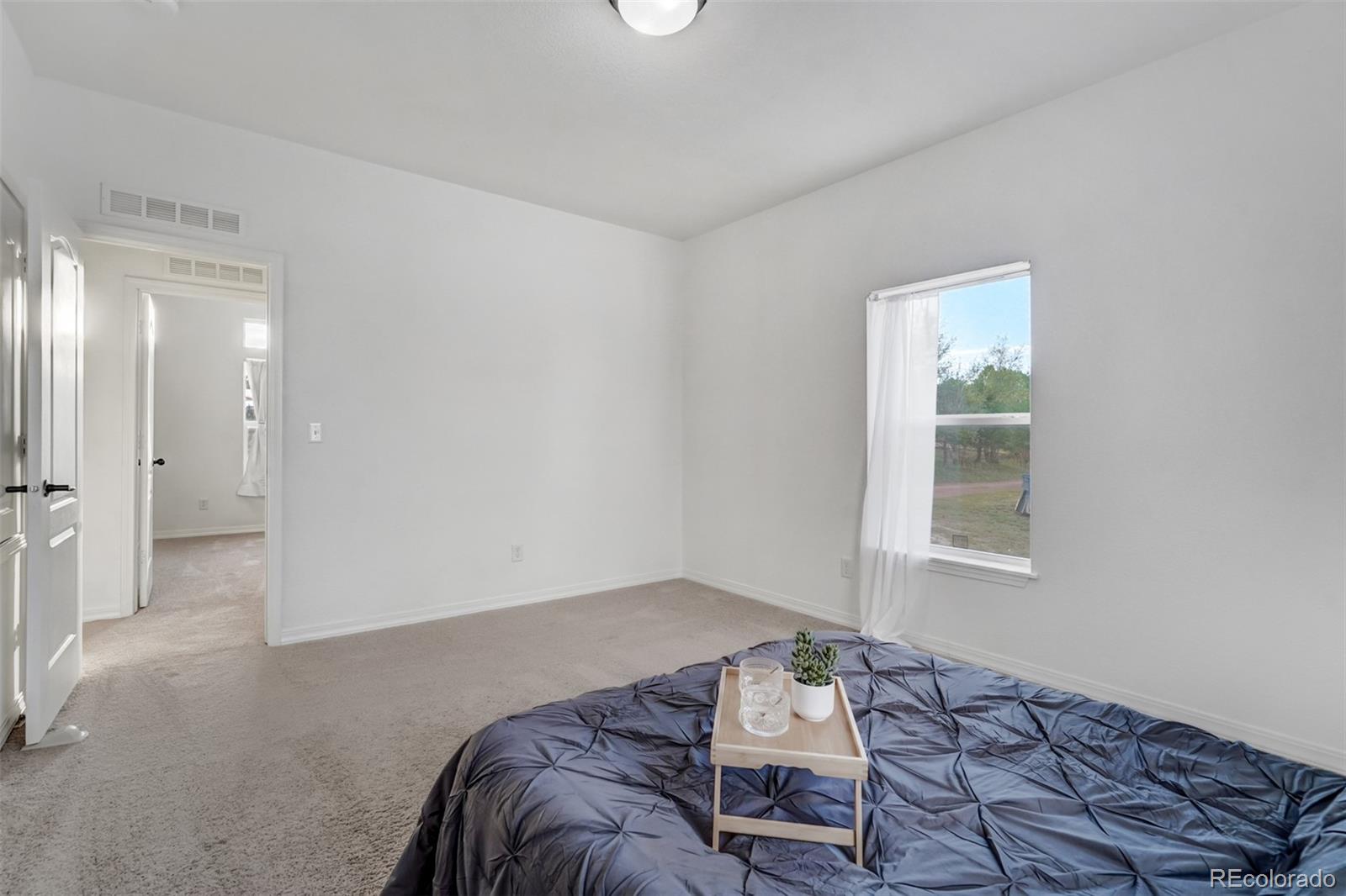 MLS Image #23 for 12715  gull lane,peyton, Colorado