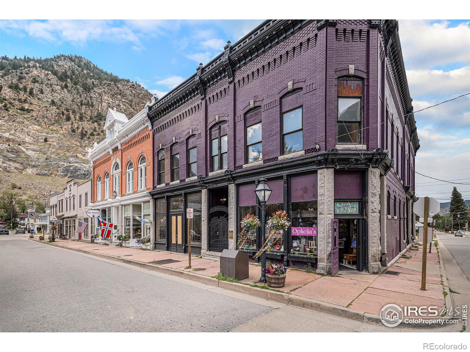 MLS Image #26 for 1890  argentine street,georgetown, Colorado