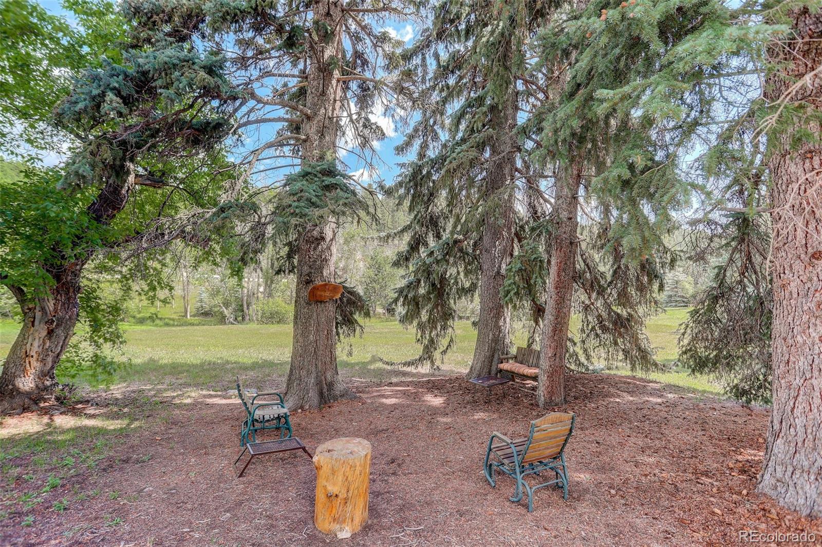 MLS Image #39 for 170  soda creek road,evergreen, Colorado