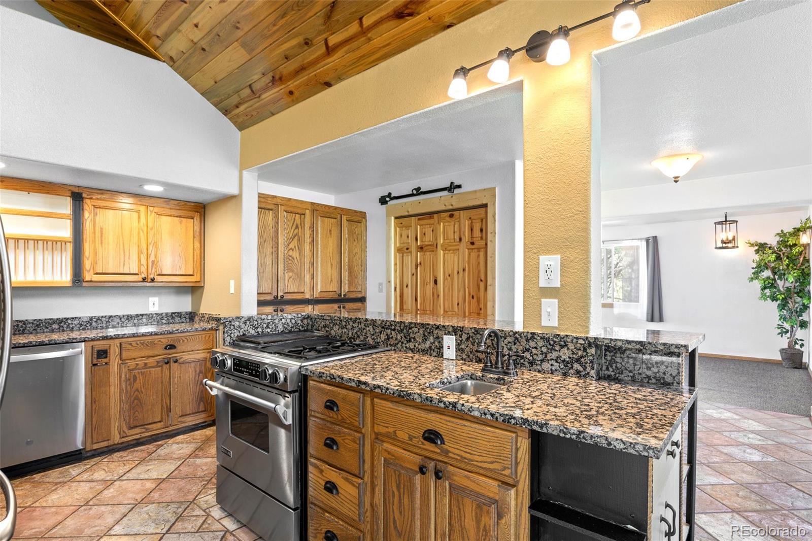 MLS Image #12 for 23  moon drive,bailey, Colorado