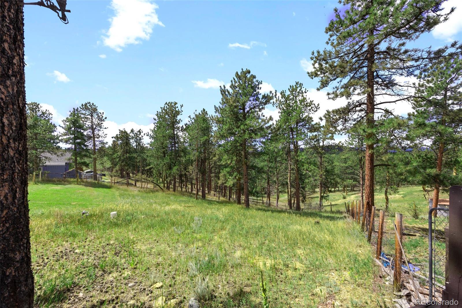 MLS Image #33 for 23  moon drive,bailey, Colorado