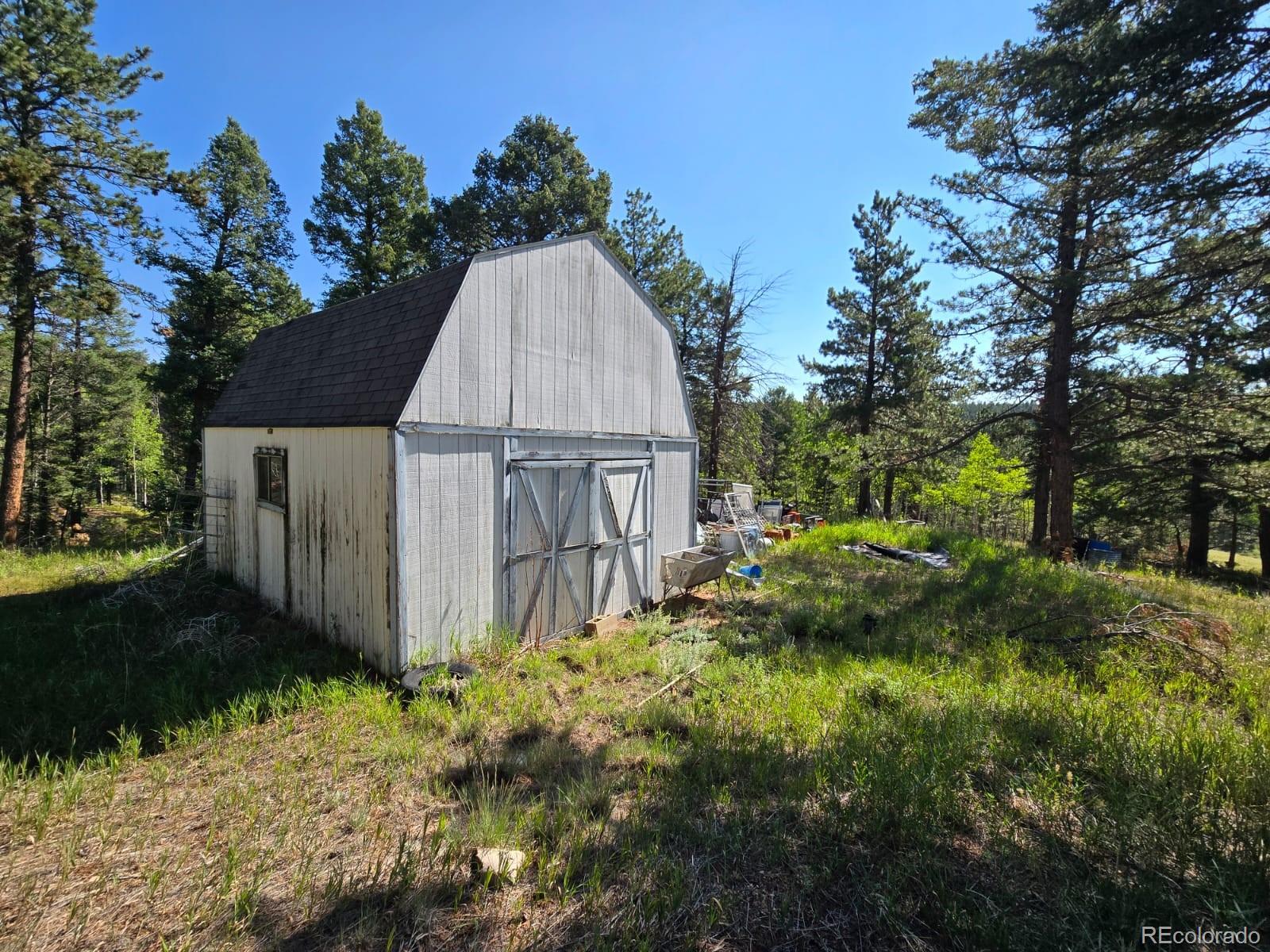 MLS Image #3 for 5273  cedar mountain road,divide, Colorado