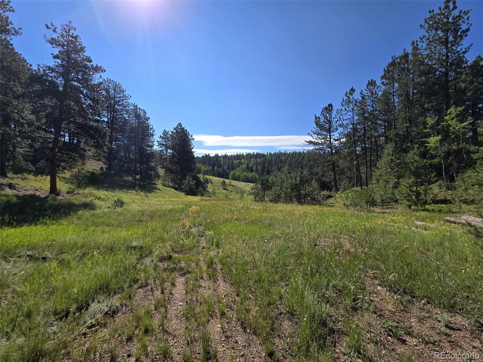 MLS Image #5 for 5273  cedar mountain road,divide, Colorado