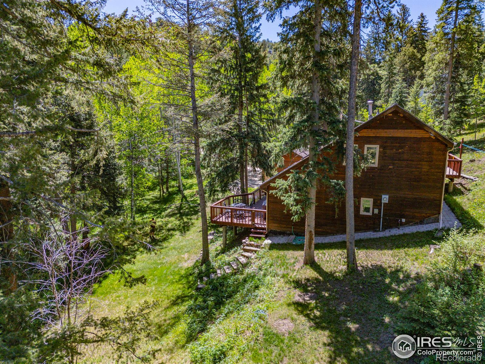 MLS Image #32 for 44  barker road,nederland, Colorado