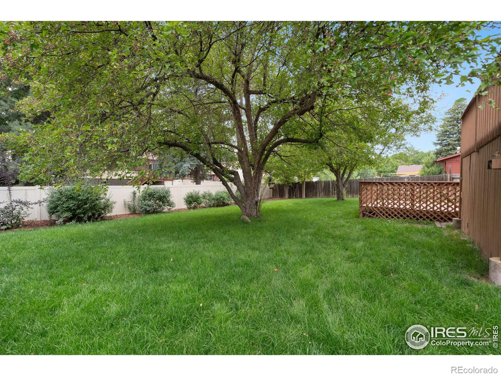 MLS Image #32 for 513 w drake road,fort collins, Colorado