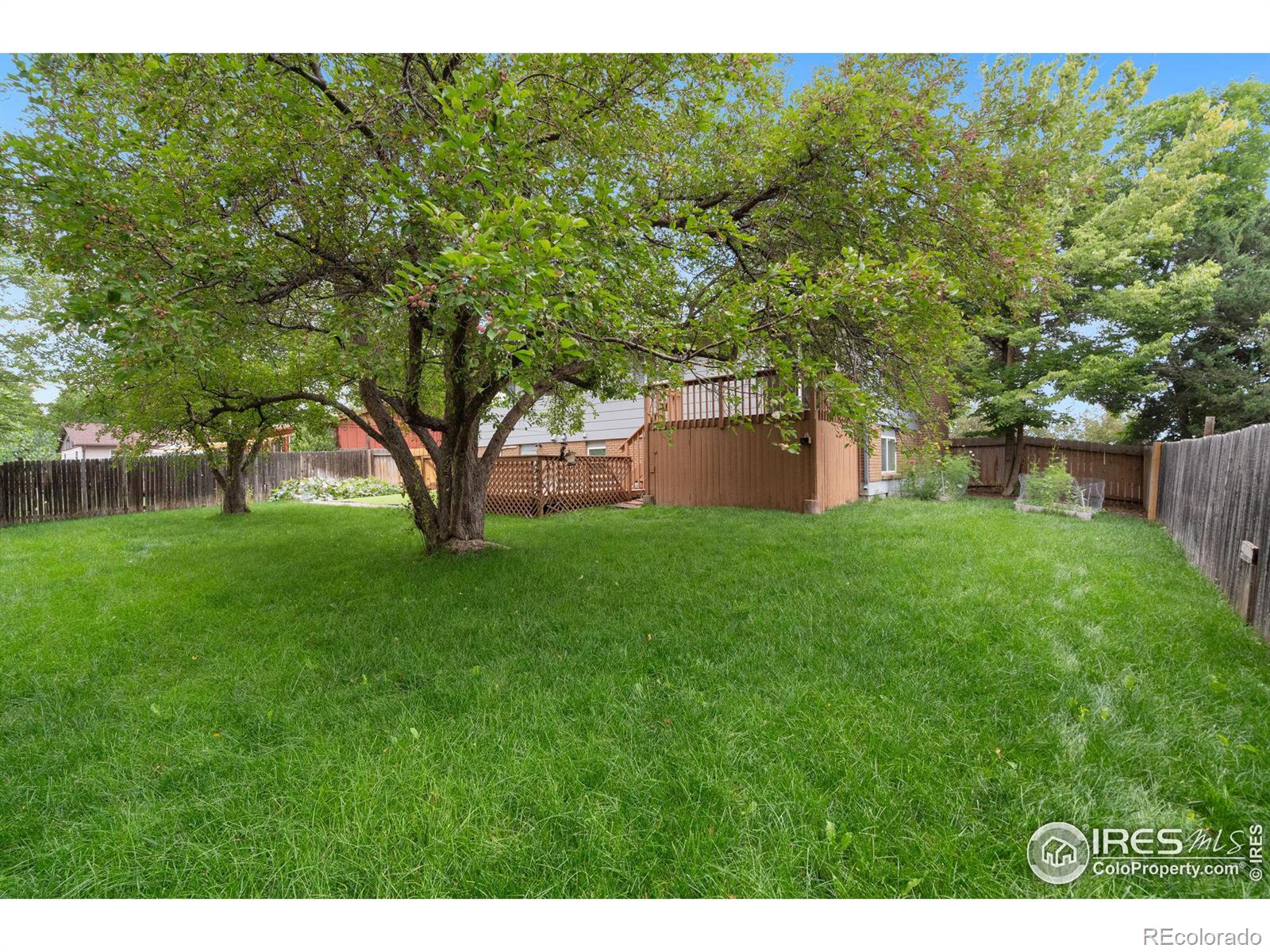 MLS Image #35 for 513 w drake road,fort collins, Colorado