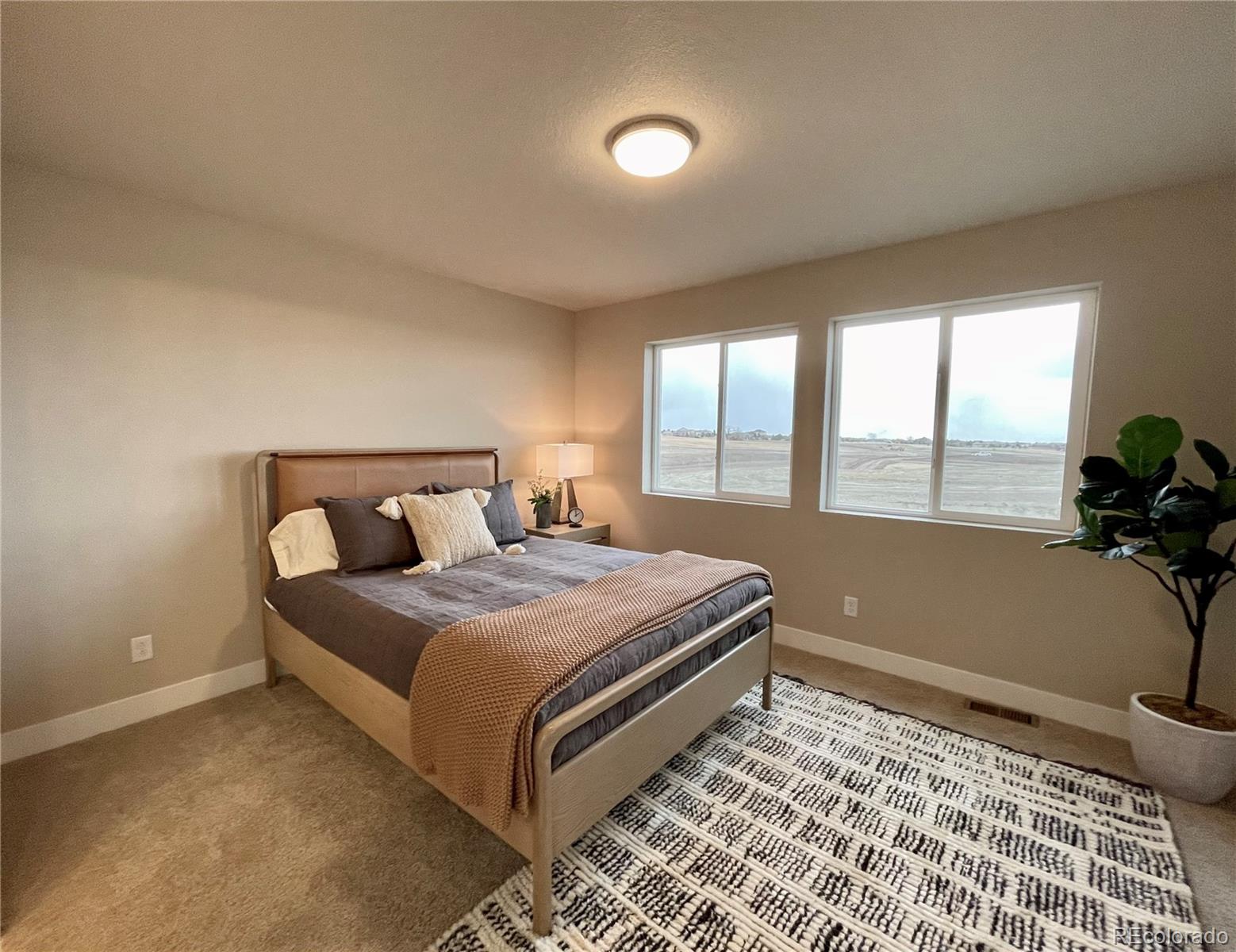 MLS Image #5 for 10351  grattage grove,colorado springs, Colorado