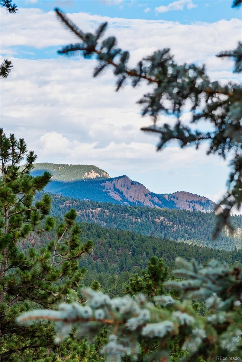 MLS Image #37 for 241  schooley road,bailey, Colorado