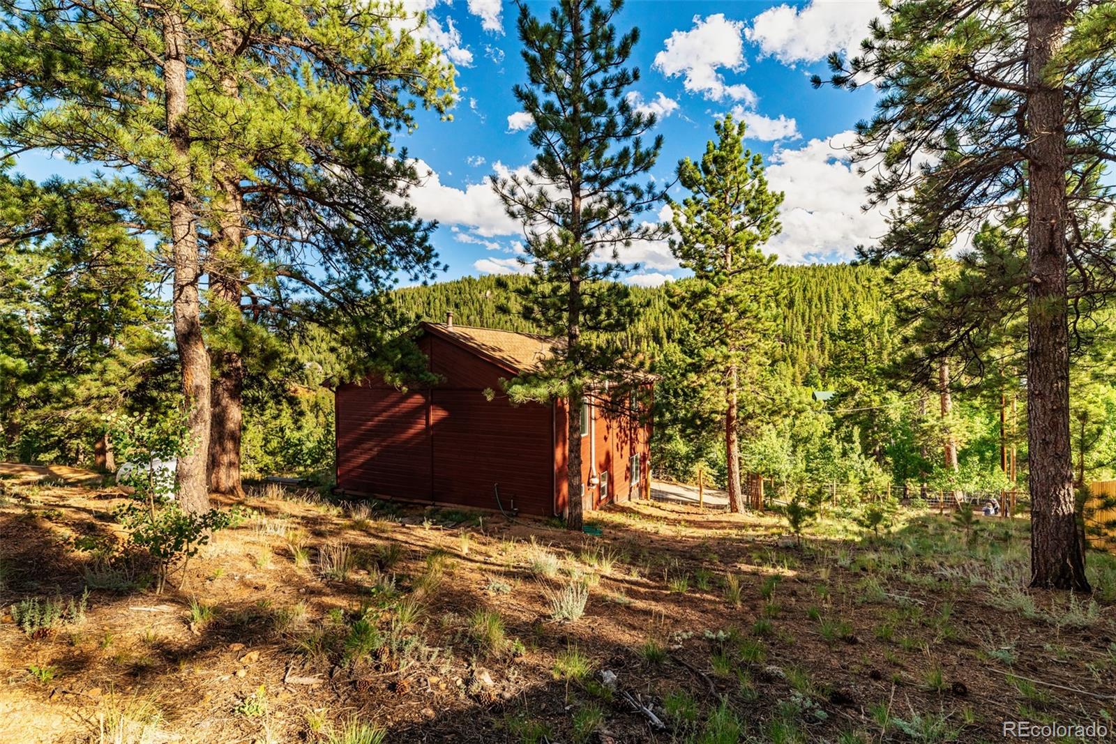 MLS Image #42 for 241  schooley road,bailey, Colorado