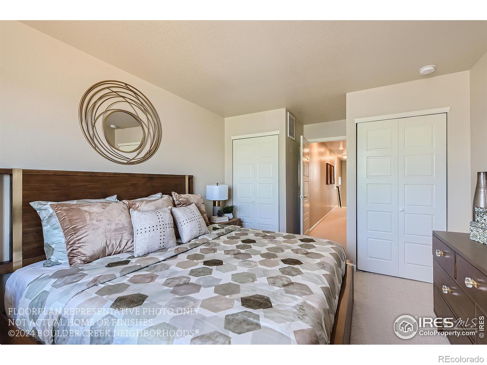 MLS Image #26 for 10221 e 62nd place,denver, Colorado