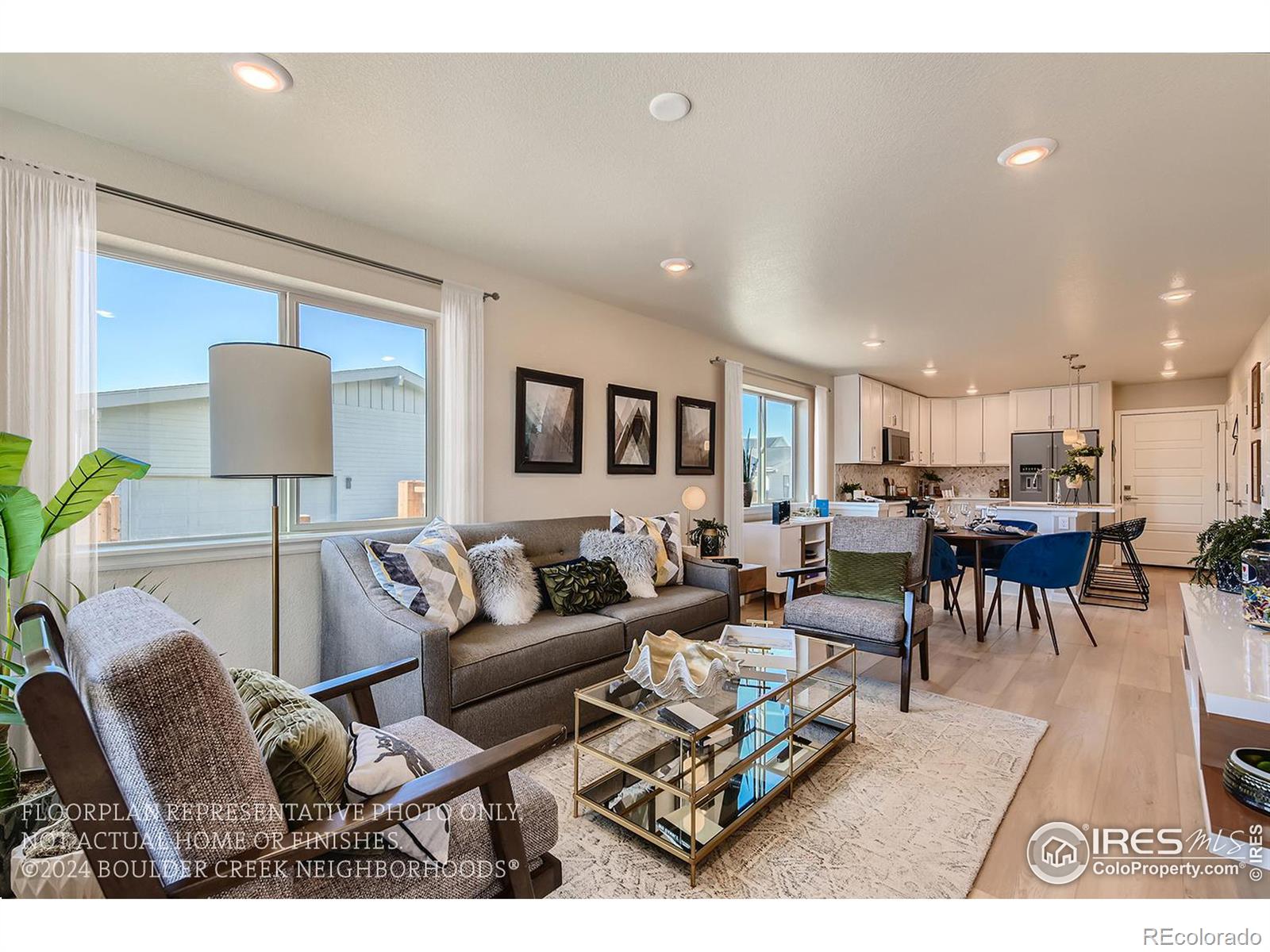 MLS Image #5 for 10221 e 62nd place,denver, Colorado