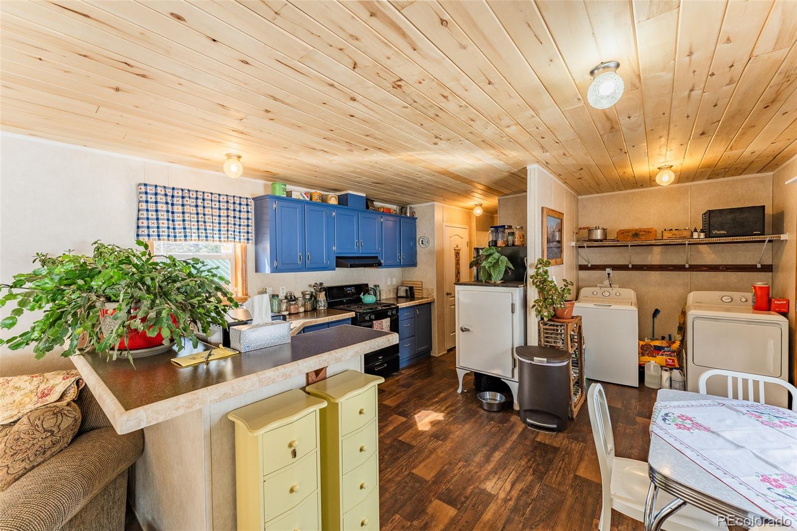 MLS Image #1 for 934  trail creek road,lake george, Colorado