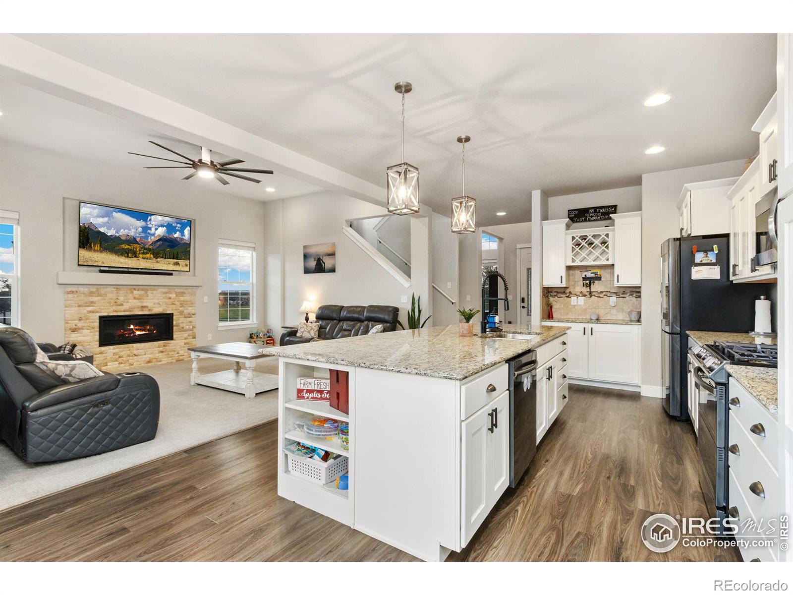 MLS Image #10 for 572  ellingwood pointe drive,severance, Colorado