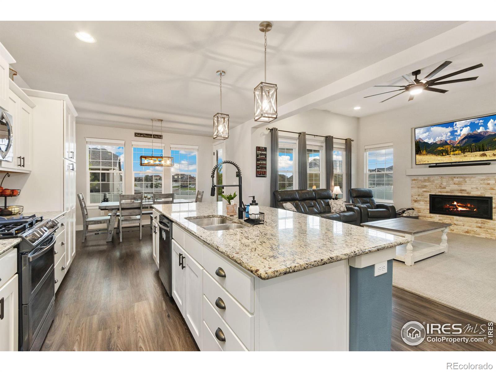 MLS Image #11 for 572  ellingwood pointe drive,severance, Colorado