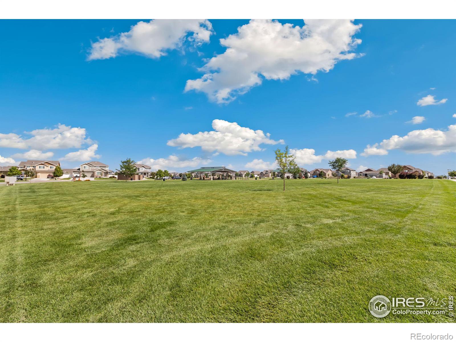 MLS Image #37 for 572  ellingwood pointe drive,severance, Colorado