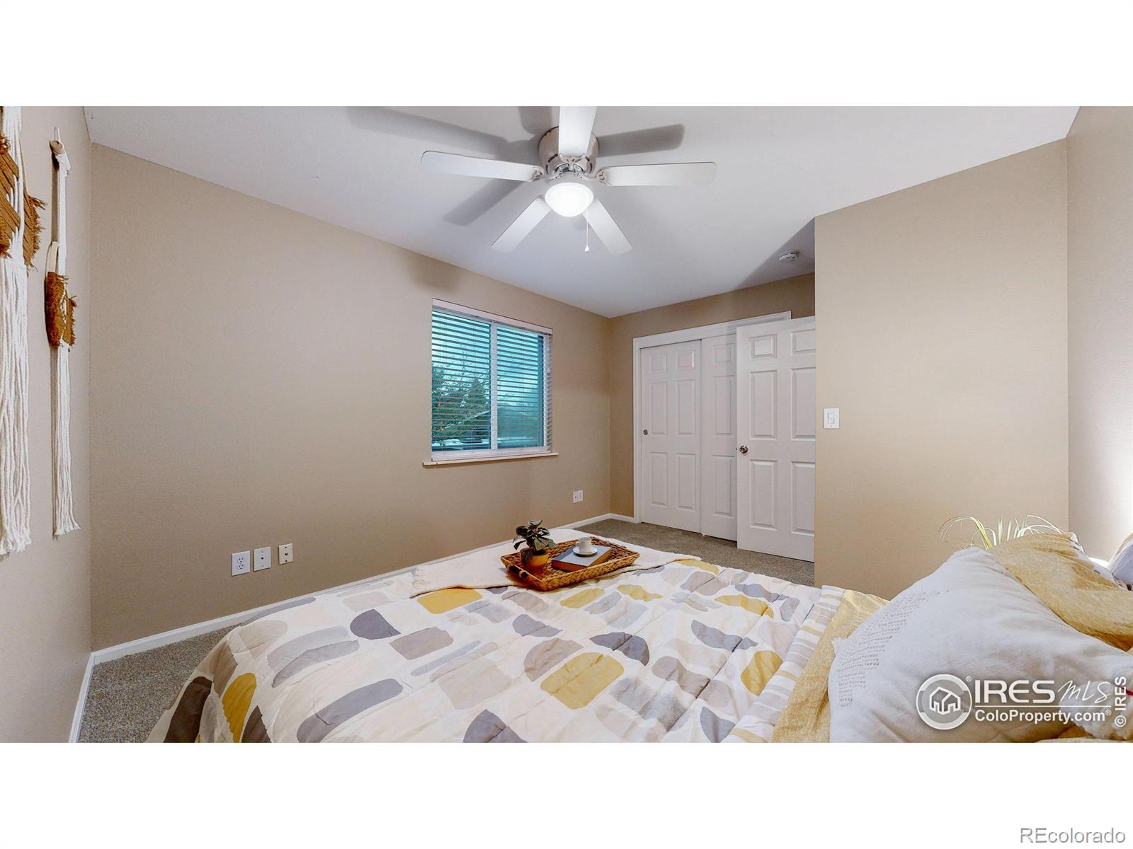 MLS Image #13 for 1025  larch drive,windsor, Colorado