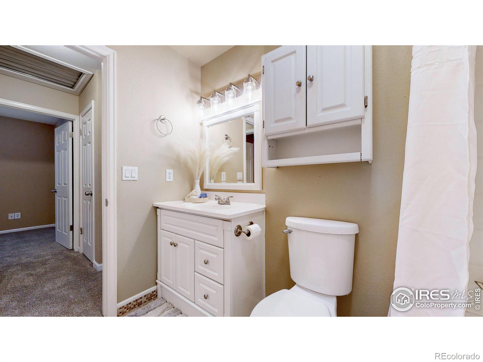 MLS Image #17 for 1025  larch drive,windsor, Colorado