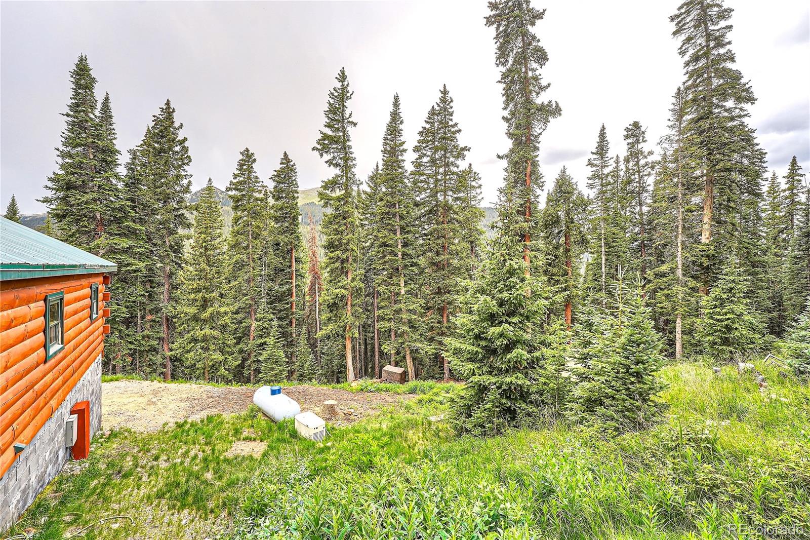 MLS Image #21 for 483  bullion mine road,keystone, Colorado