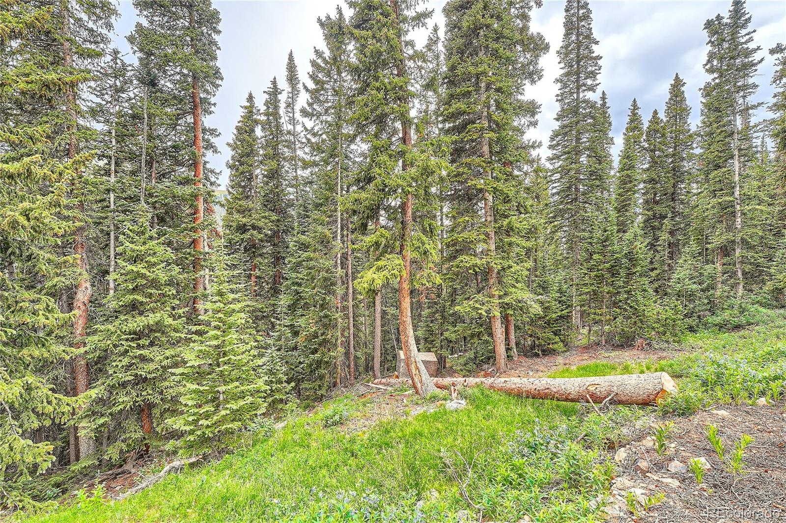 MLS Image #23 for 483  bullion mine road,keystone, Colorado