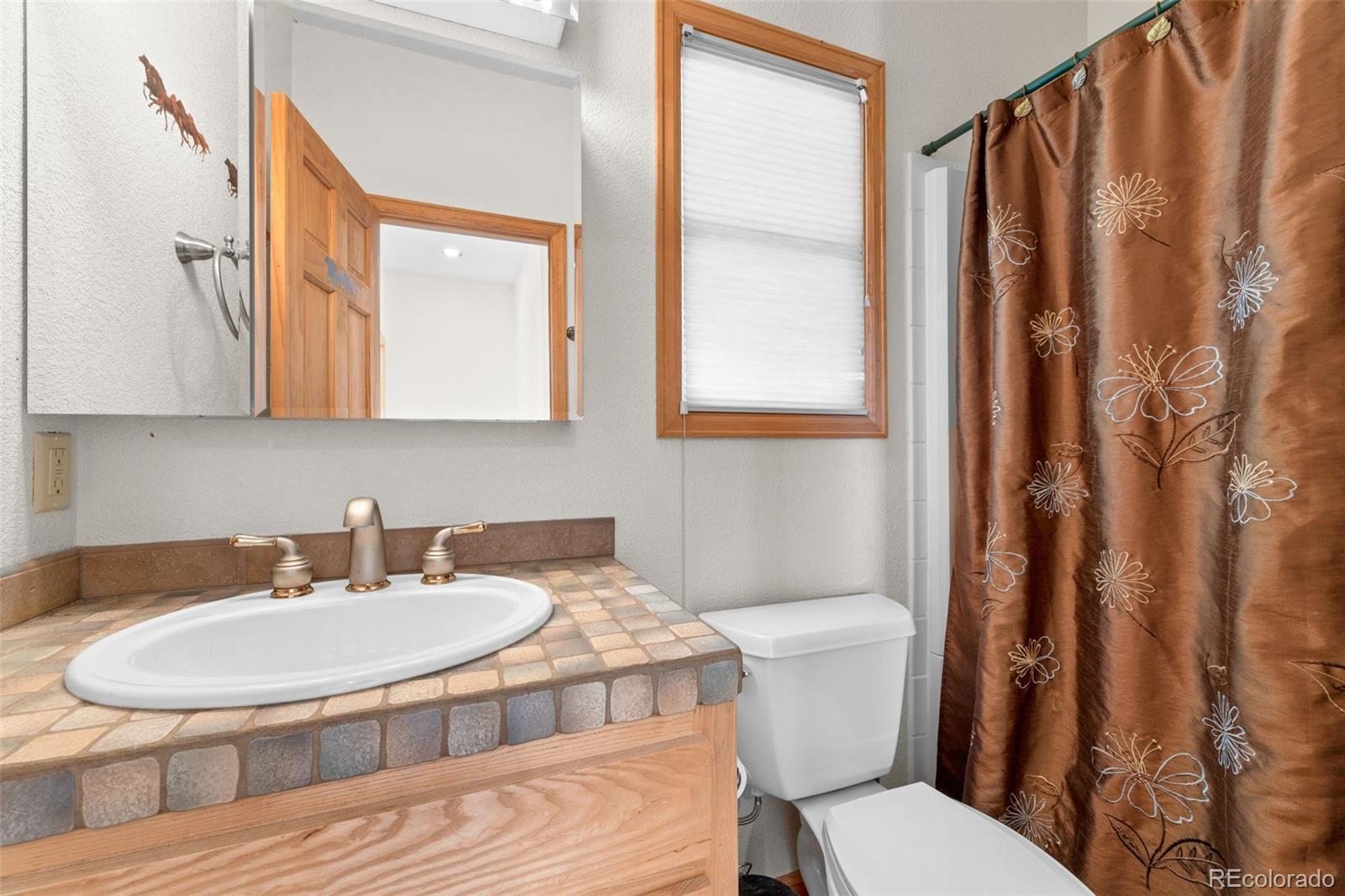 MLS Image #24 for 3436  platte river drive,como, Colorado