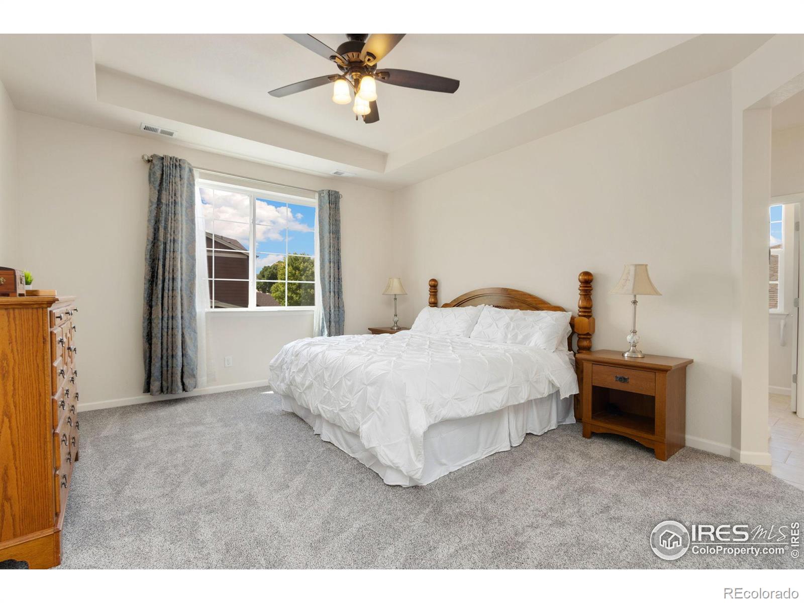 MLS Image #22 for 2641  geranium lane,fort collins, Colorado