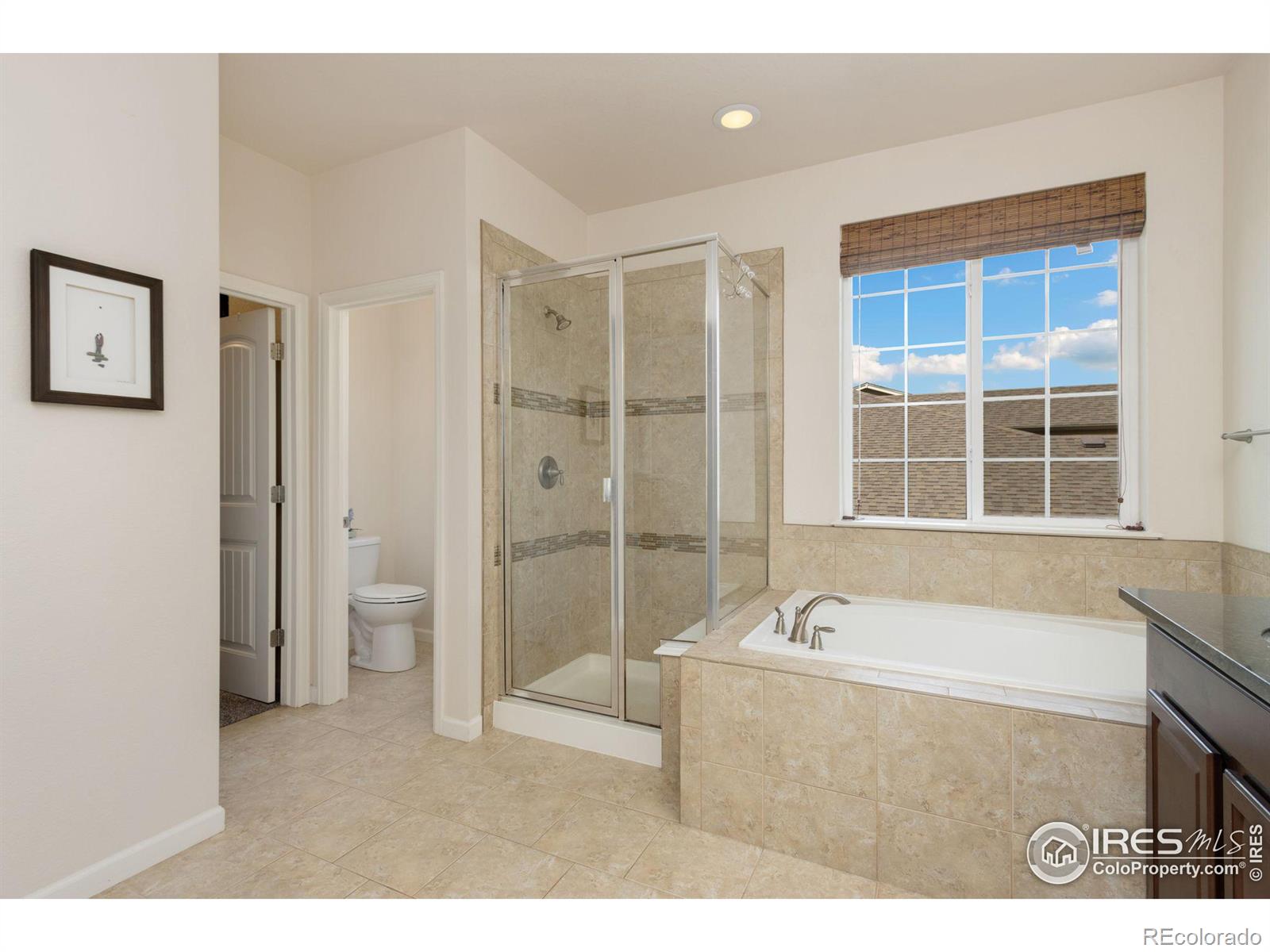 MLS Image #25 for 2641  geranium lane,fort collins, Colorado