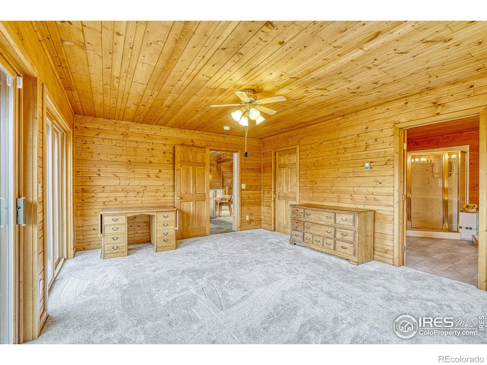 MLS Image #10 for 157  ponderosa drive,nederland, Colorado