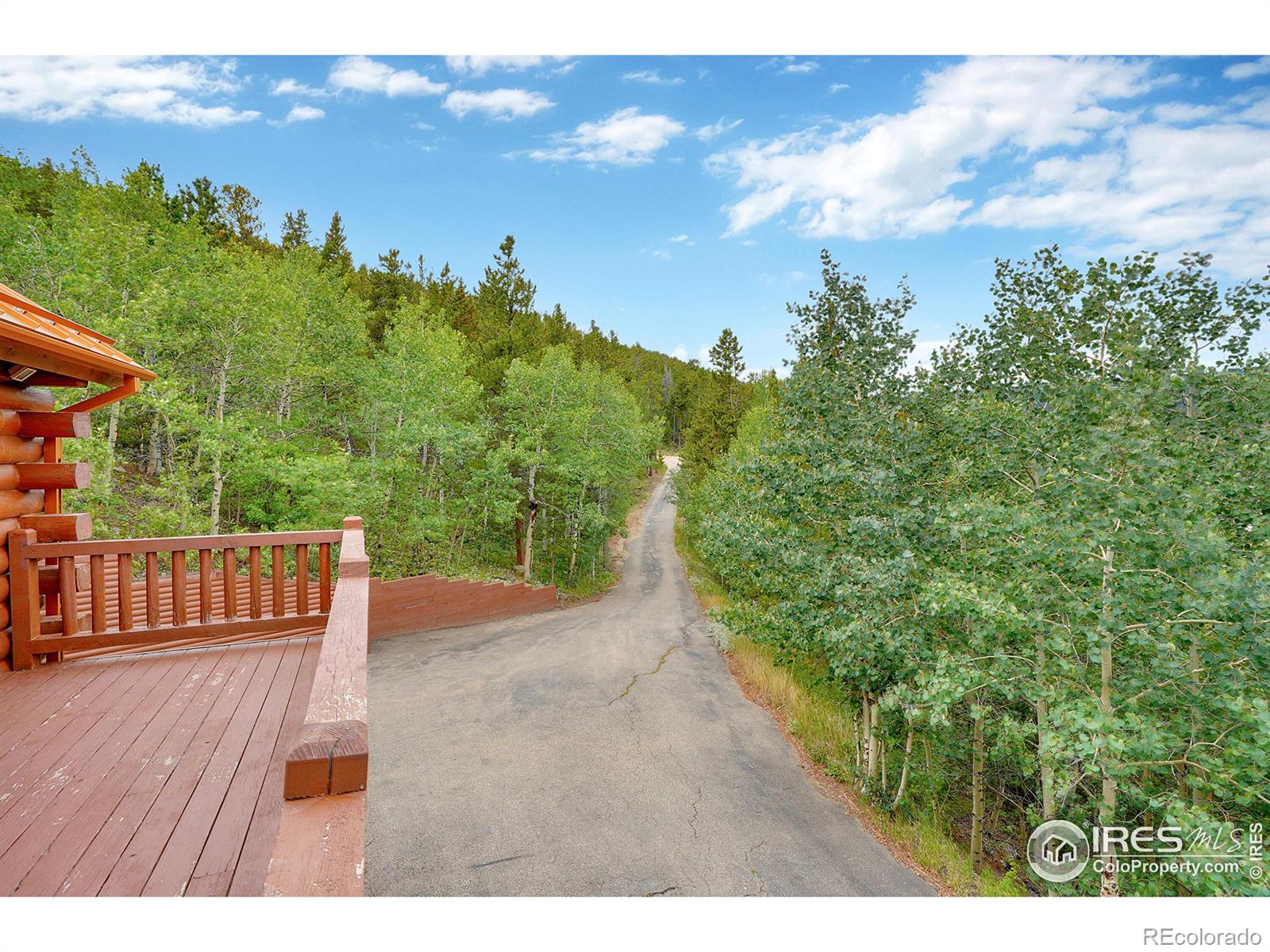 MLS Image #13 for 157  ponderosa drive,nederland, Colorado