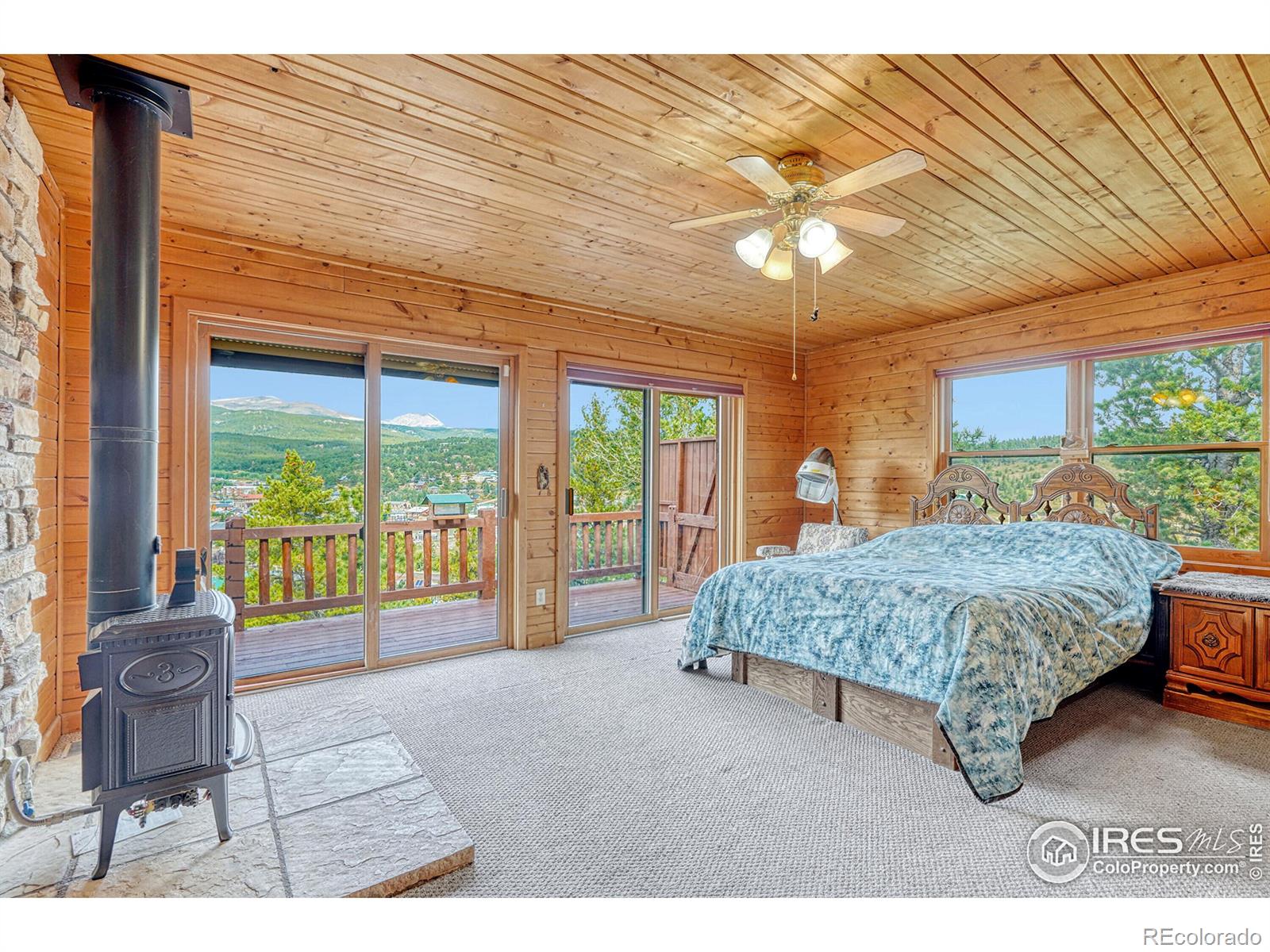 MLS Image #14 for 157  ponderosa drive,nederland, Colorado