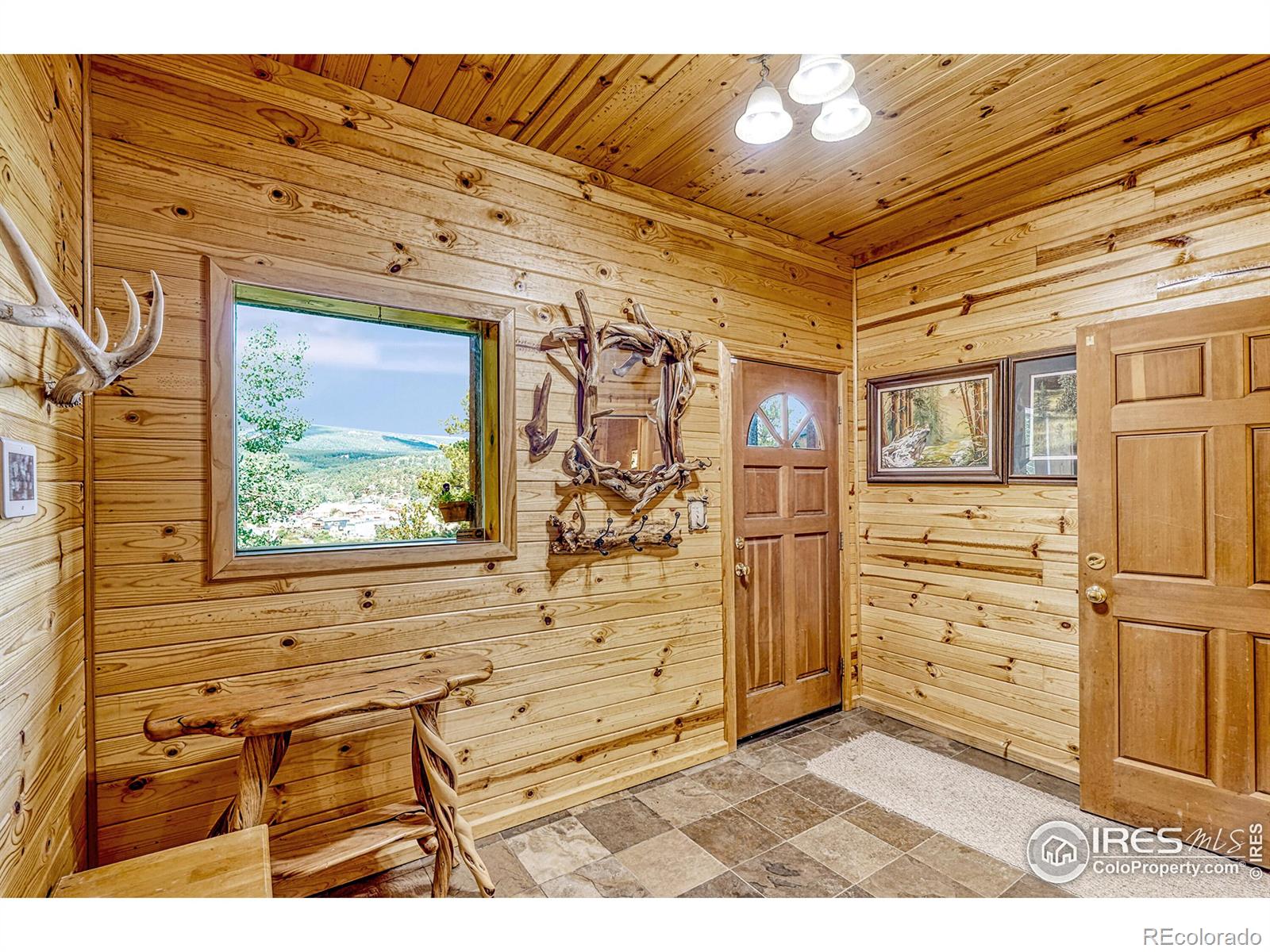 MLS Image #19 for 157  ponderosa drive,nederland, Colorado