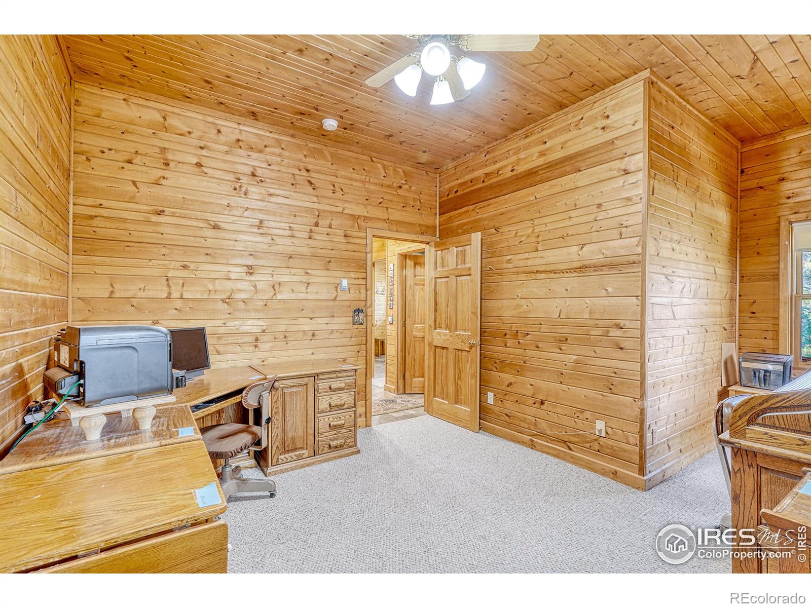 MLS Image #20 for 157  ponderosa drive,nederland, Colorado