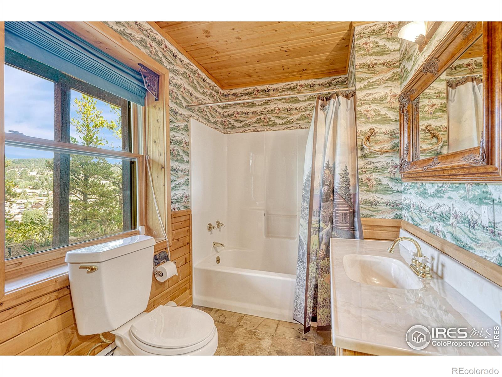 MLS Image #22 for 157  ponderosa drive,nederland, Colorado