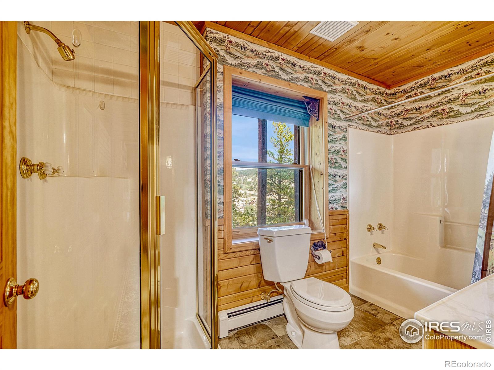 MLS Image #23 for 157  ponderosa drive,nederland, Colorado