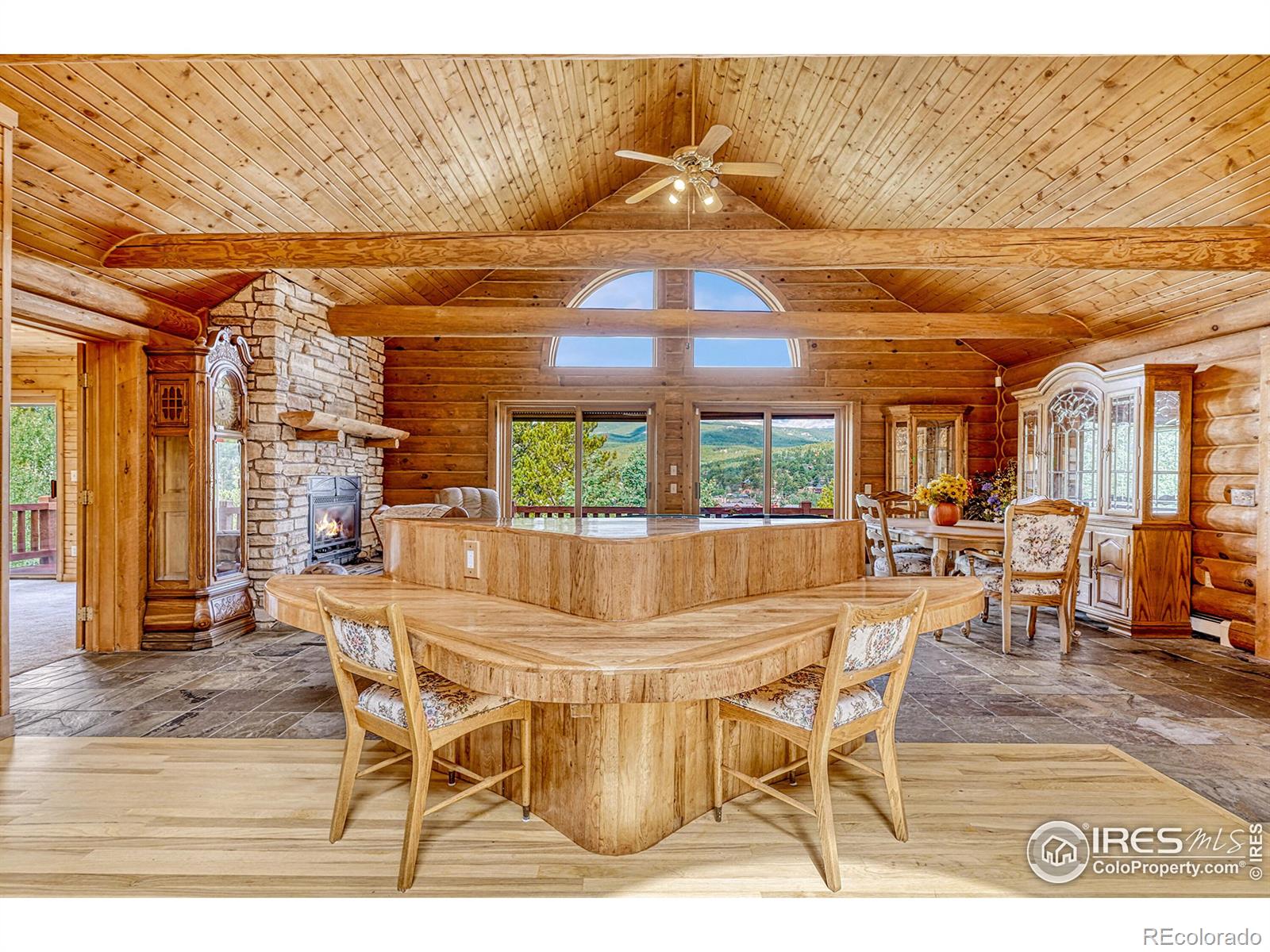 MLS Image #3 for 157  ponderosa drive,nederland, Colorado