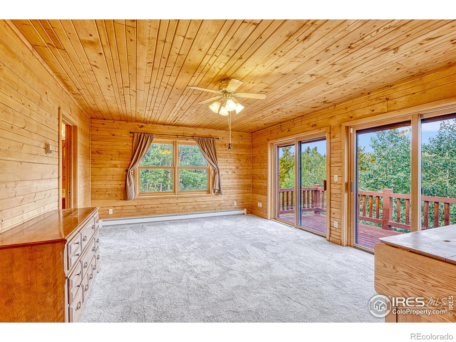 MLS Image #7 for 157  ponderosa drive,nederland, Colorado