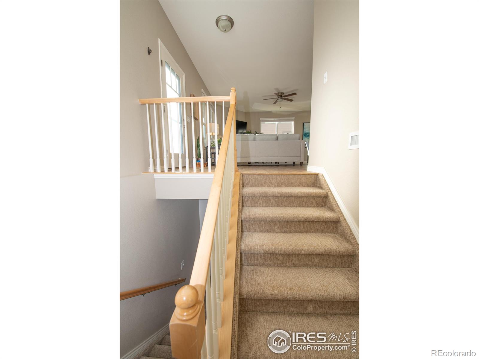 MLS Image #16 for 1311  johnston court,longmont, Colorado