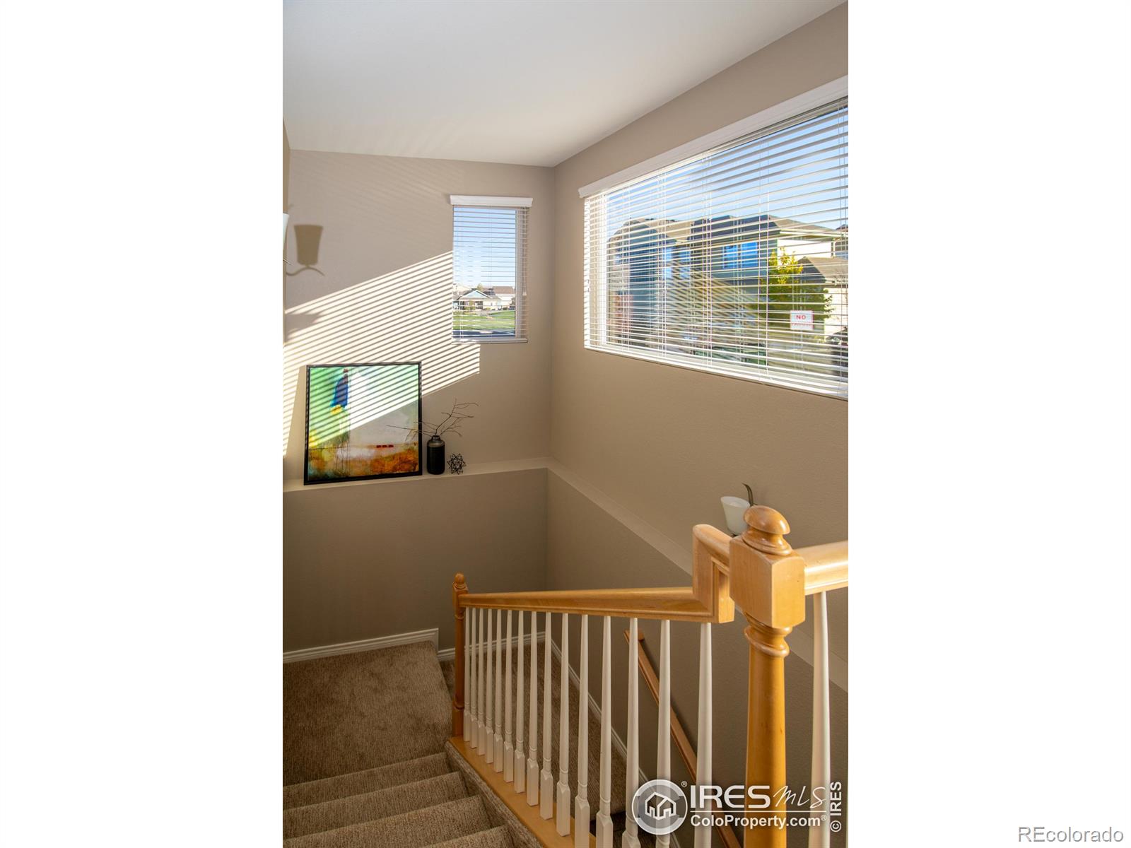 MLS Image #24 for 1311  johnston court,longmont, Colorado