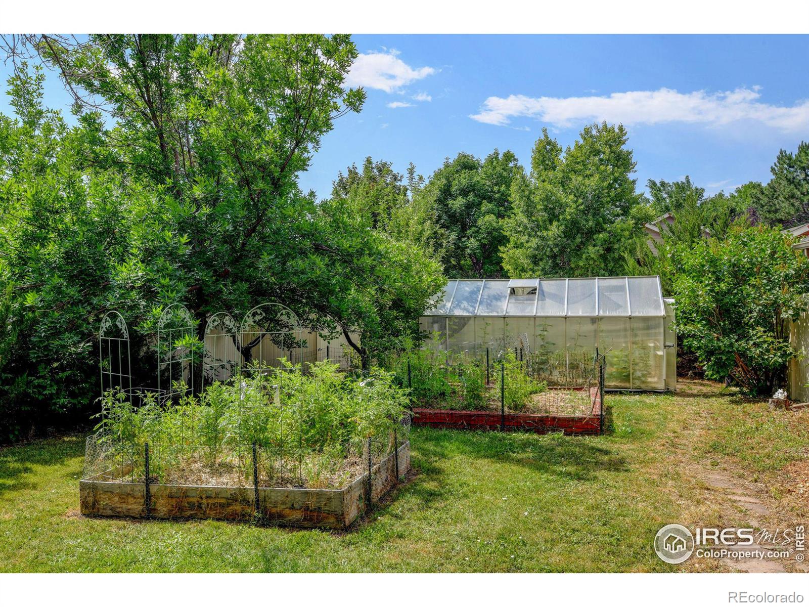 MLS Image #31 for 319 e michigan avenue,berthoud, Colorado