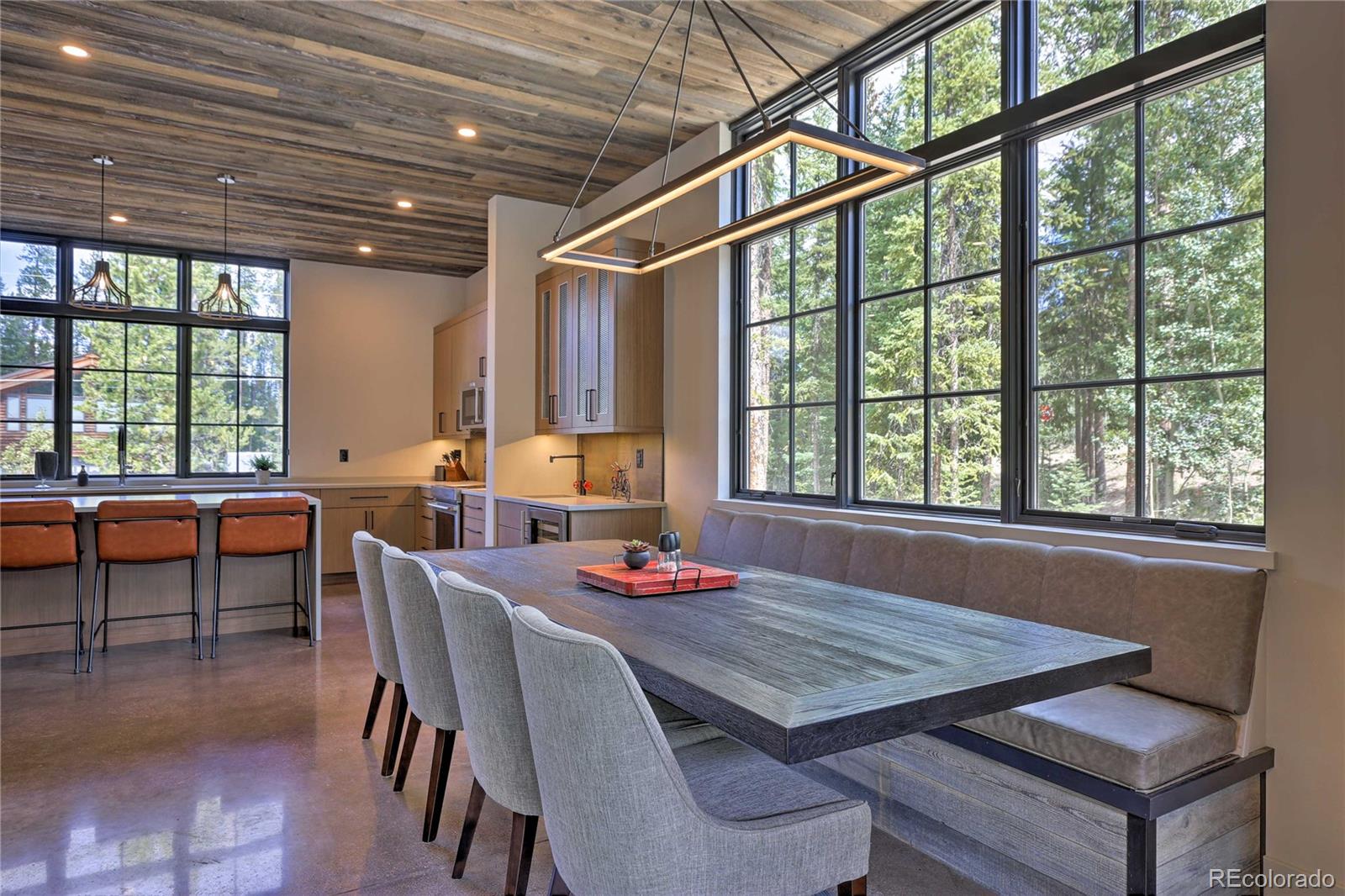 MLS Image #10 for 10  alpine way,winter park, Colorado