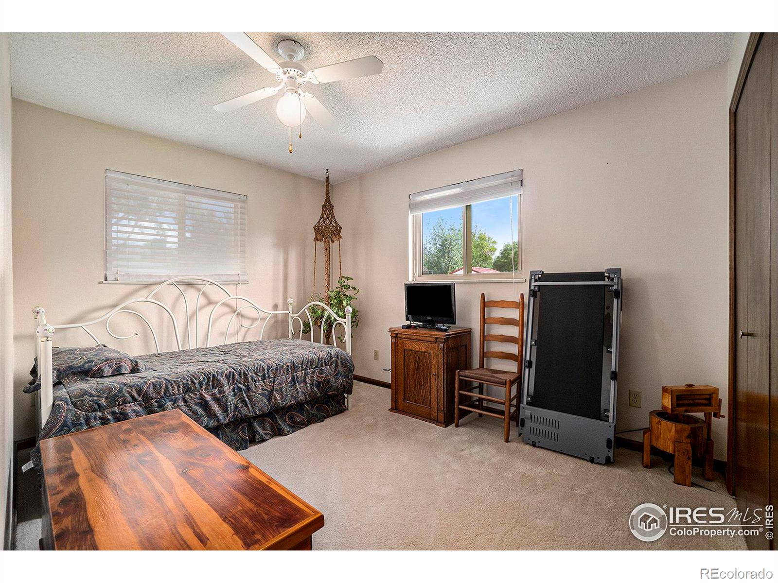 MLS Image #13 for 516  woods avenue,ault, Colorado