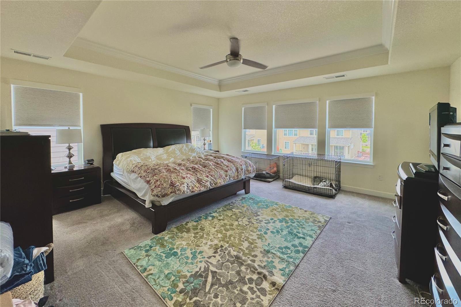 MLS Image #18 for 14595  vancouver place,parker, Colorado