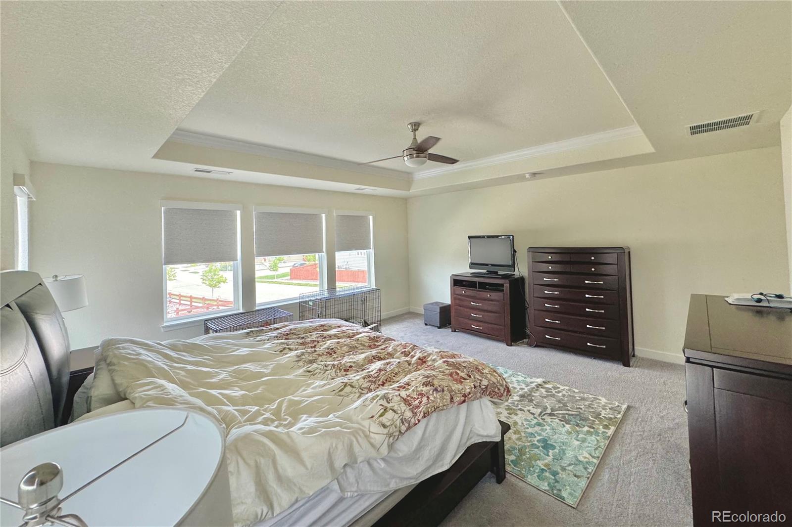 MLS Image #20 for 14595  vancouver place,parker, Colorado